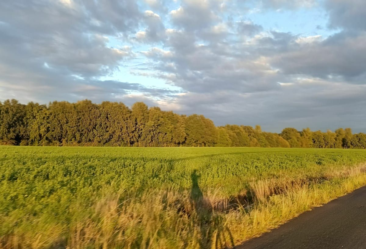 Balade entre Parisot et Loupiac - Parisot