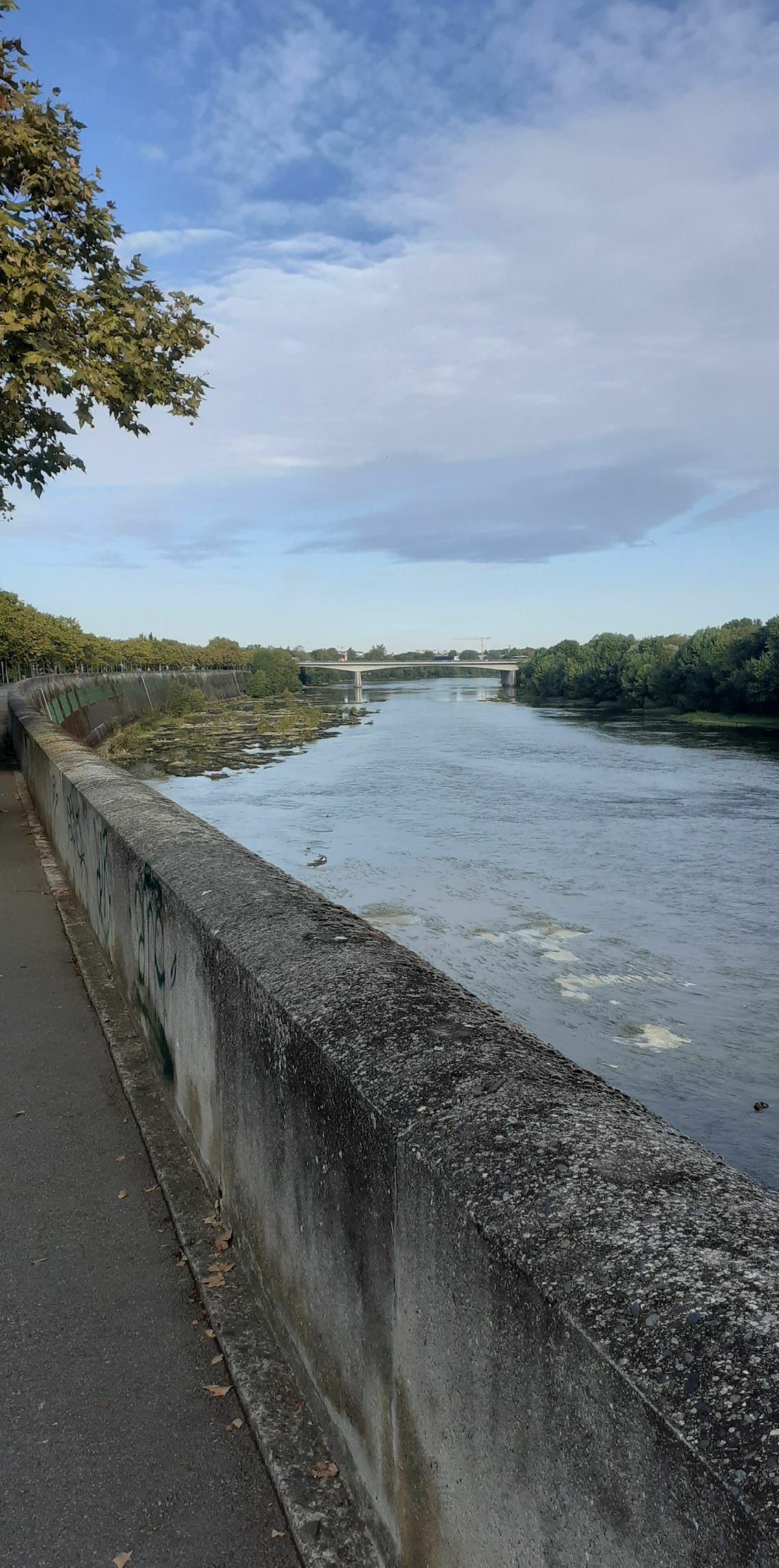 Toulouse au bord de l"eau - Toulouse