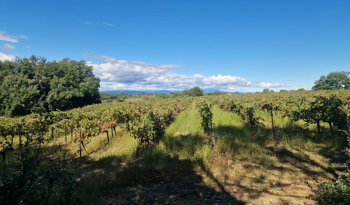 Balade à Castelnau-Valence par le Pié - Nicolas