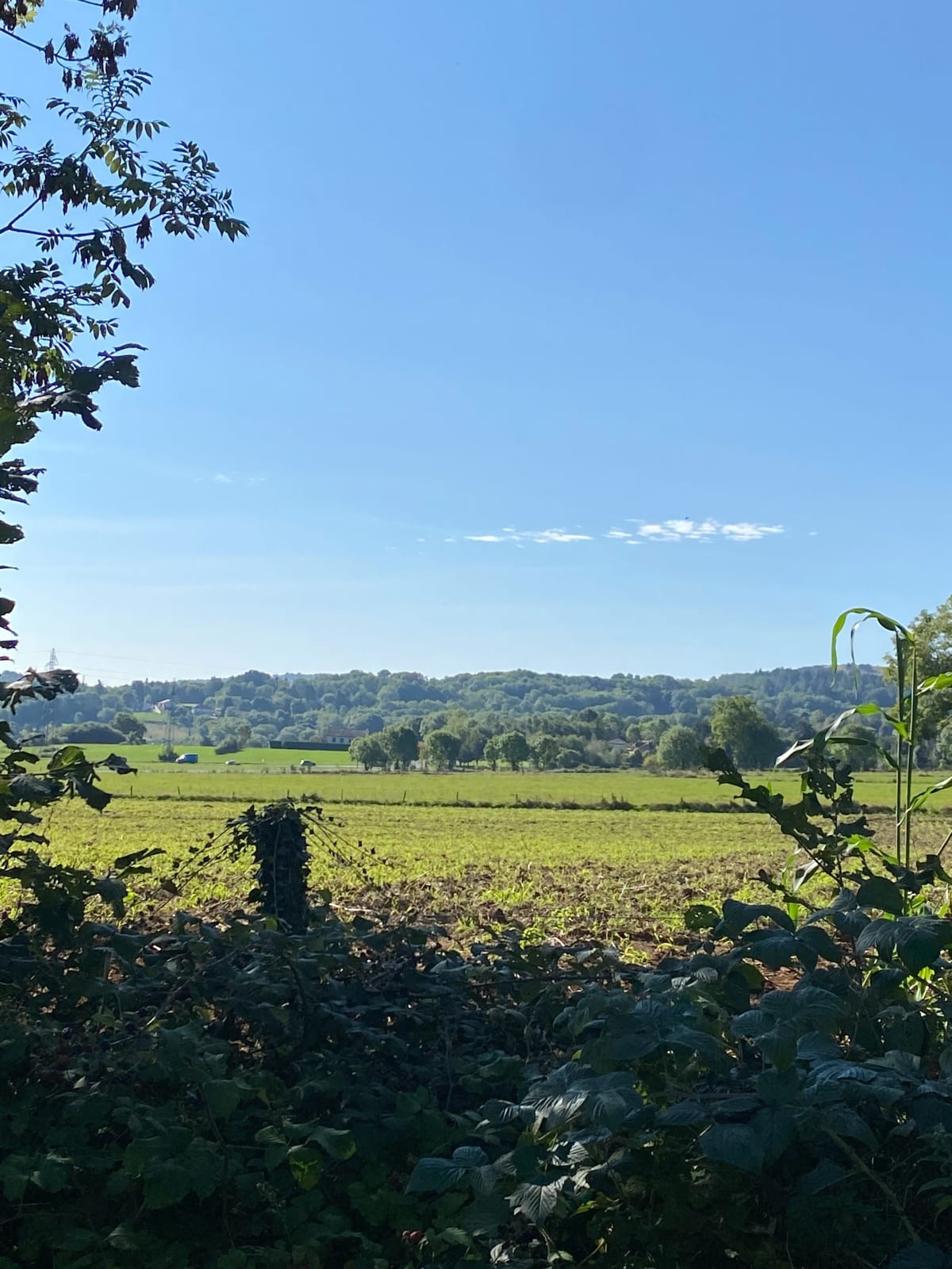 Balade autour de Puy Plantas - Decroix