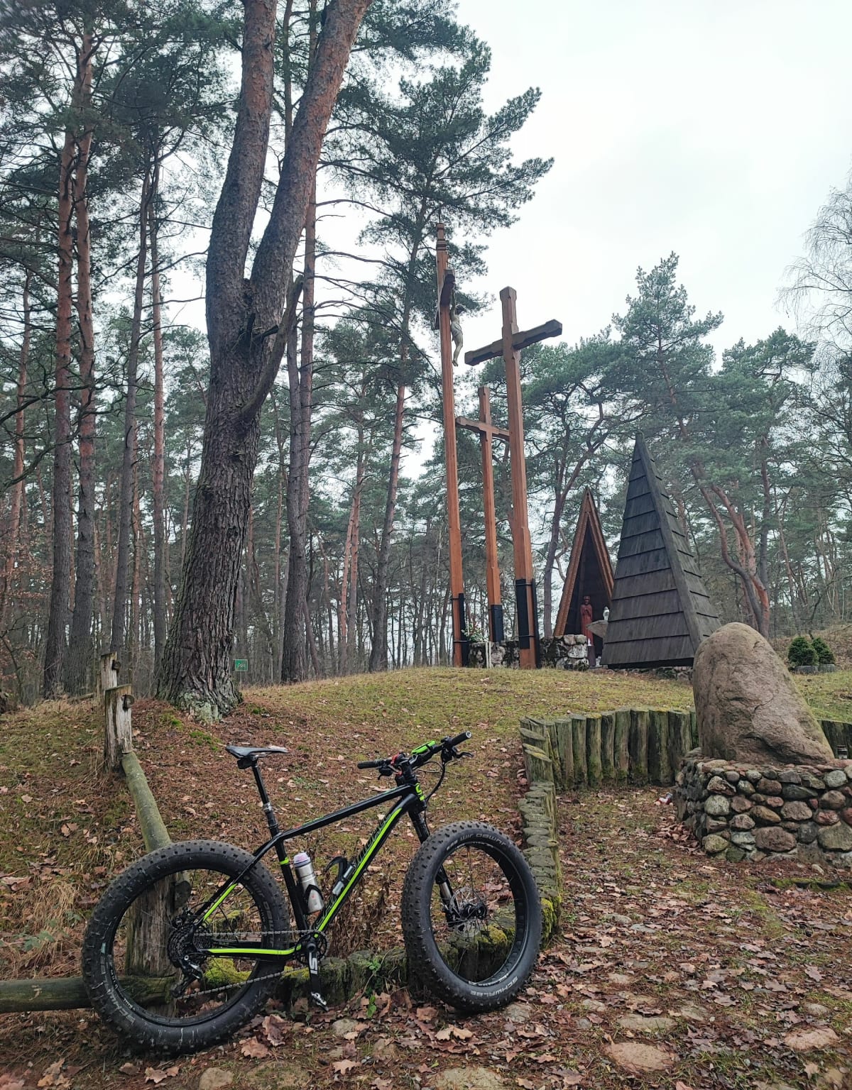Kampinos Karpaty tam i z powrotem - KAMIL