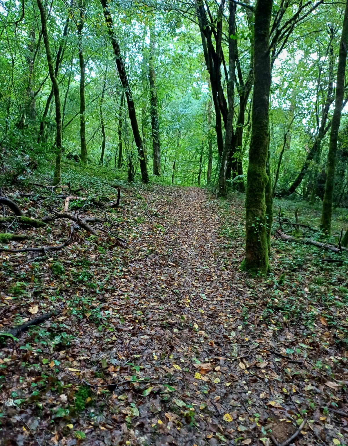 Parcours marche trail vtt vers Argentat sur Dordogne - frederic