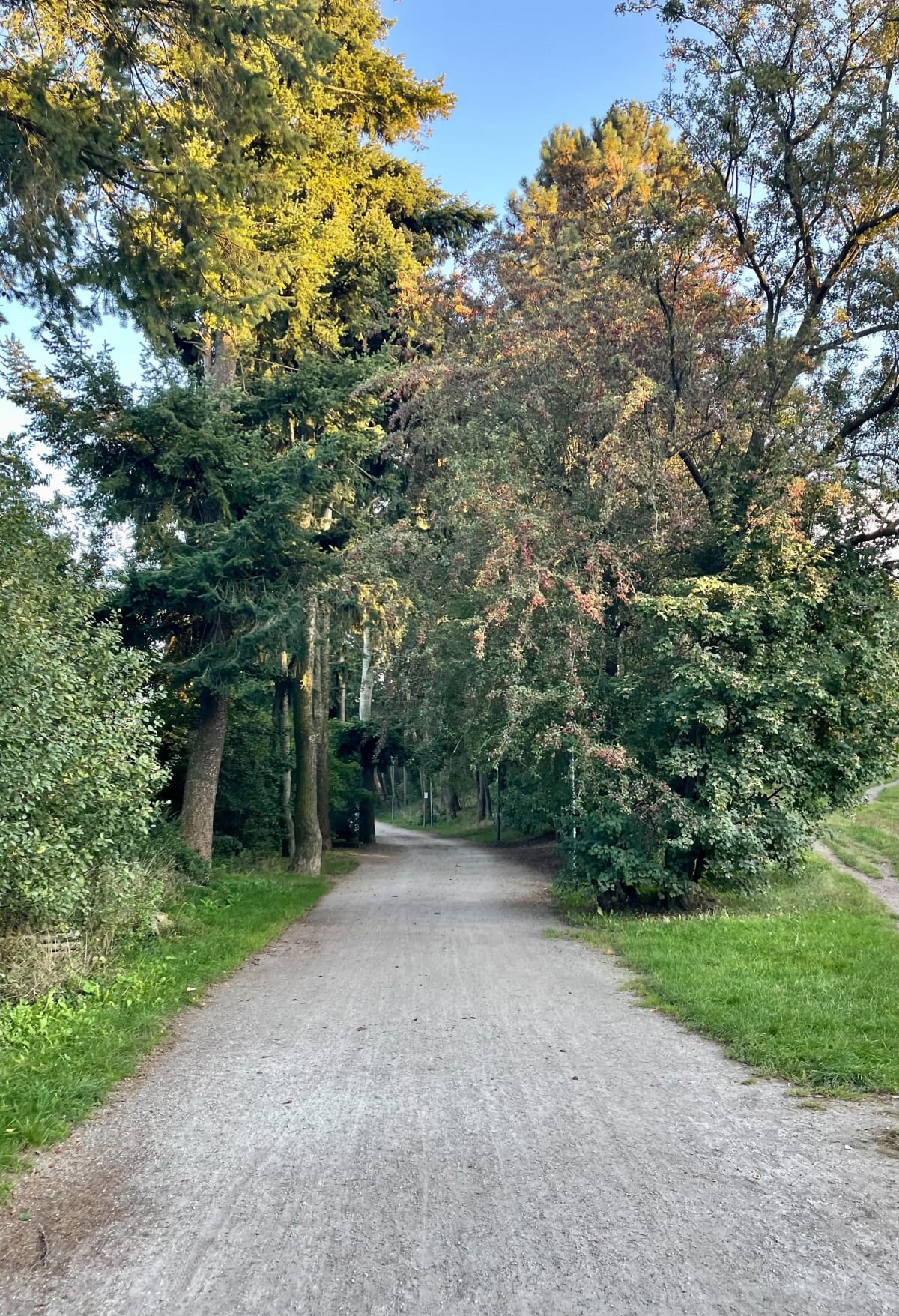 Lekkie bieganie po parku Grabiszyńskim - Radosław