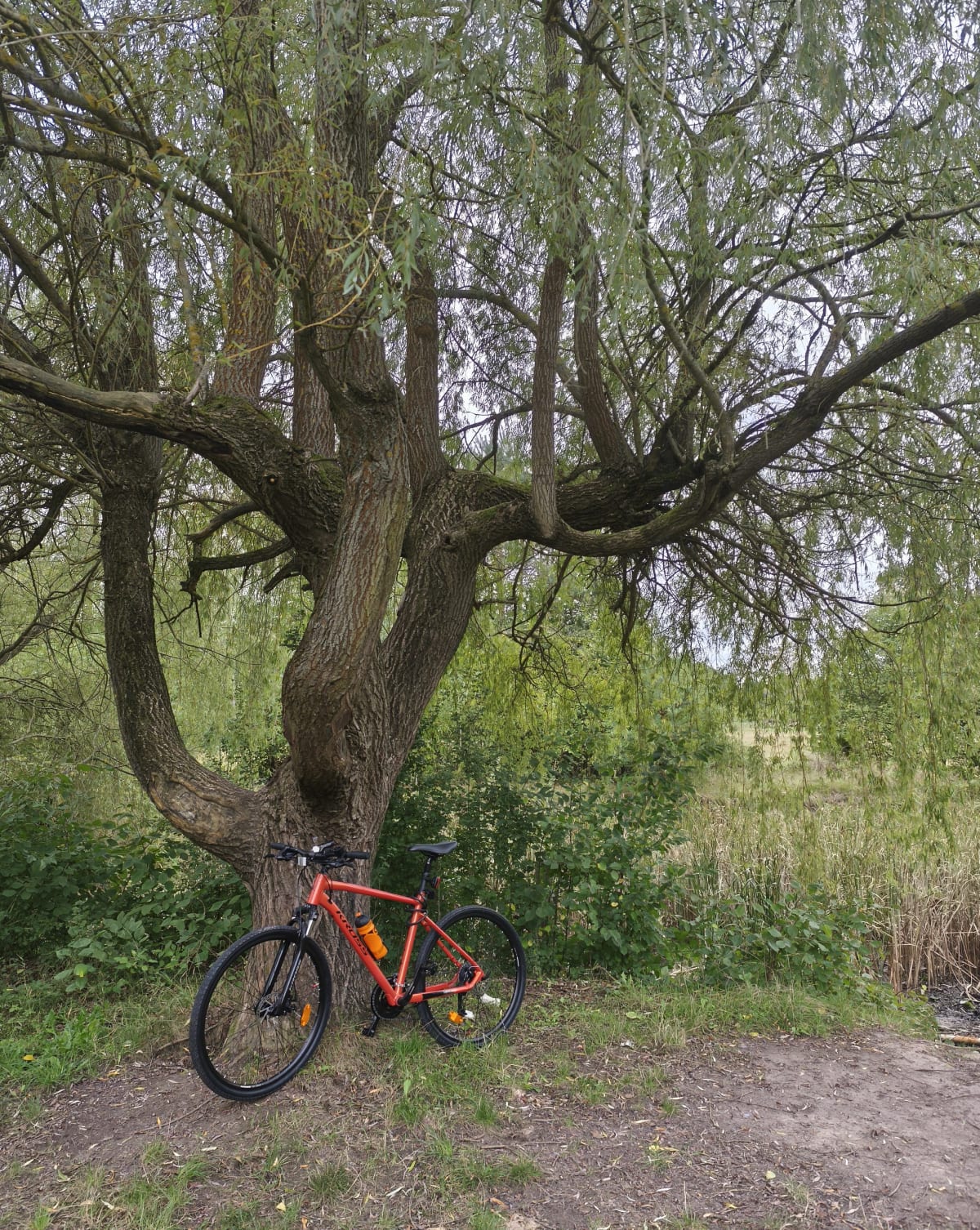 Piotrków - Przygłów - Piotr