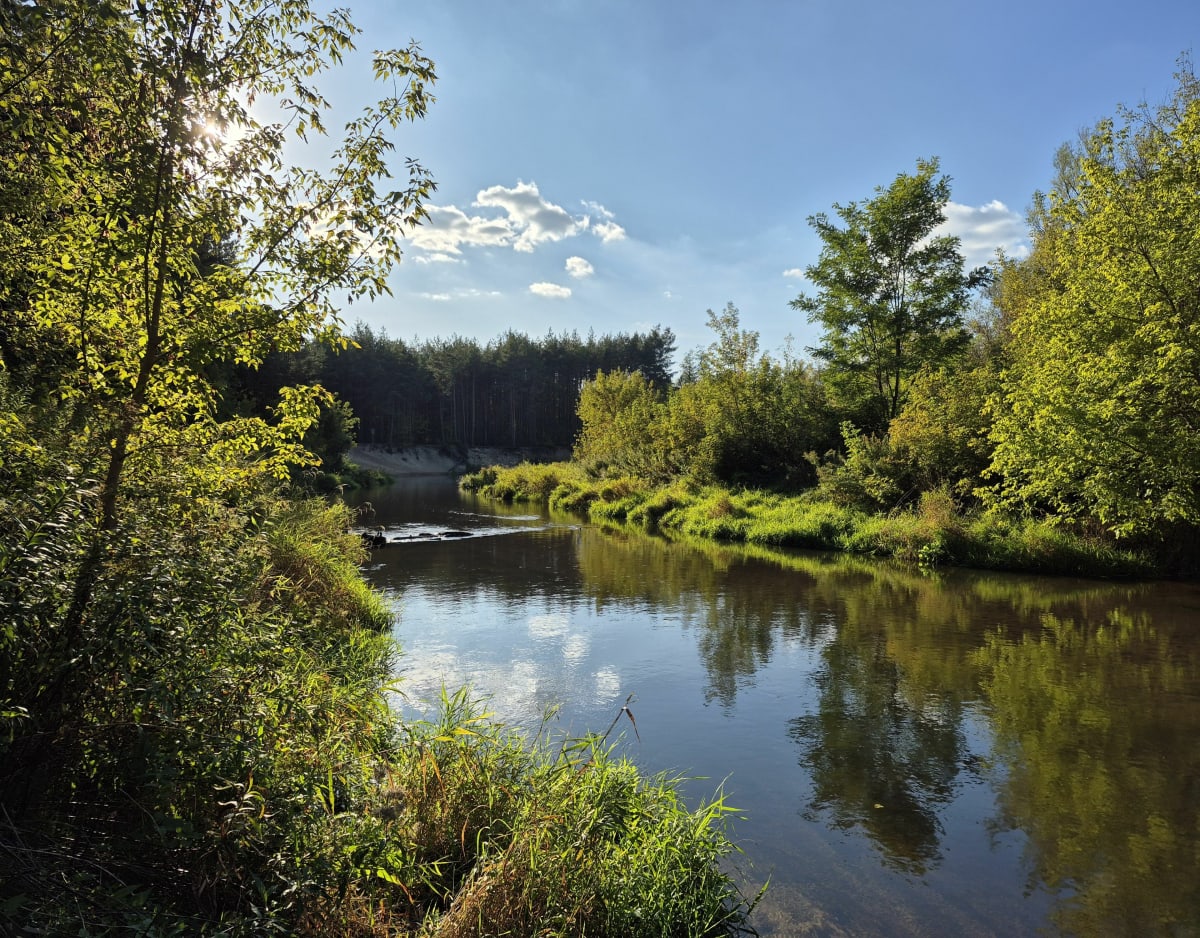 Ścieżka nad Świdrem - Pawel