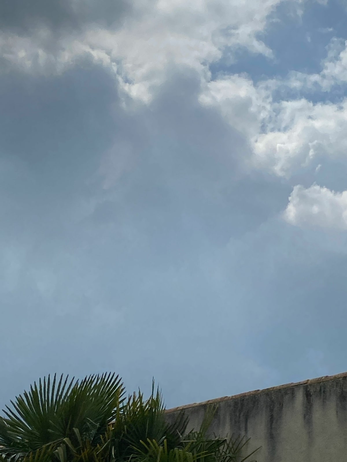 Promenade digestive sous orage - SEVERINE