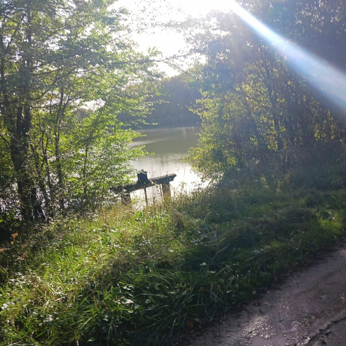Une balade sur chemin / départementale à Sainte Geneviève des Bois - Sainte-Geneviève-des-Bois