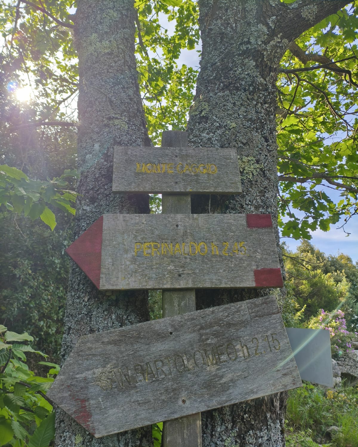 Ascension du Monte Caggio - Gilles