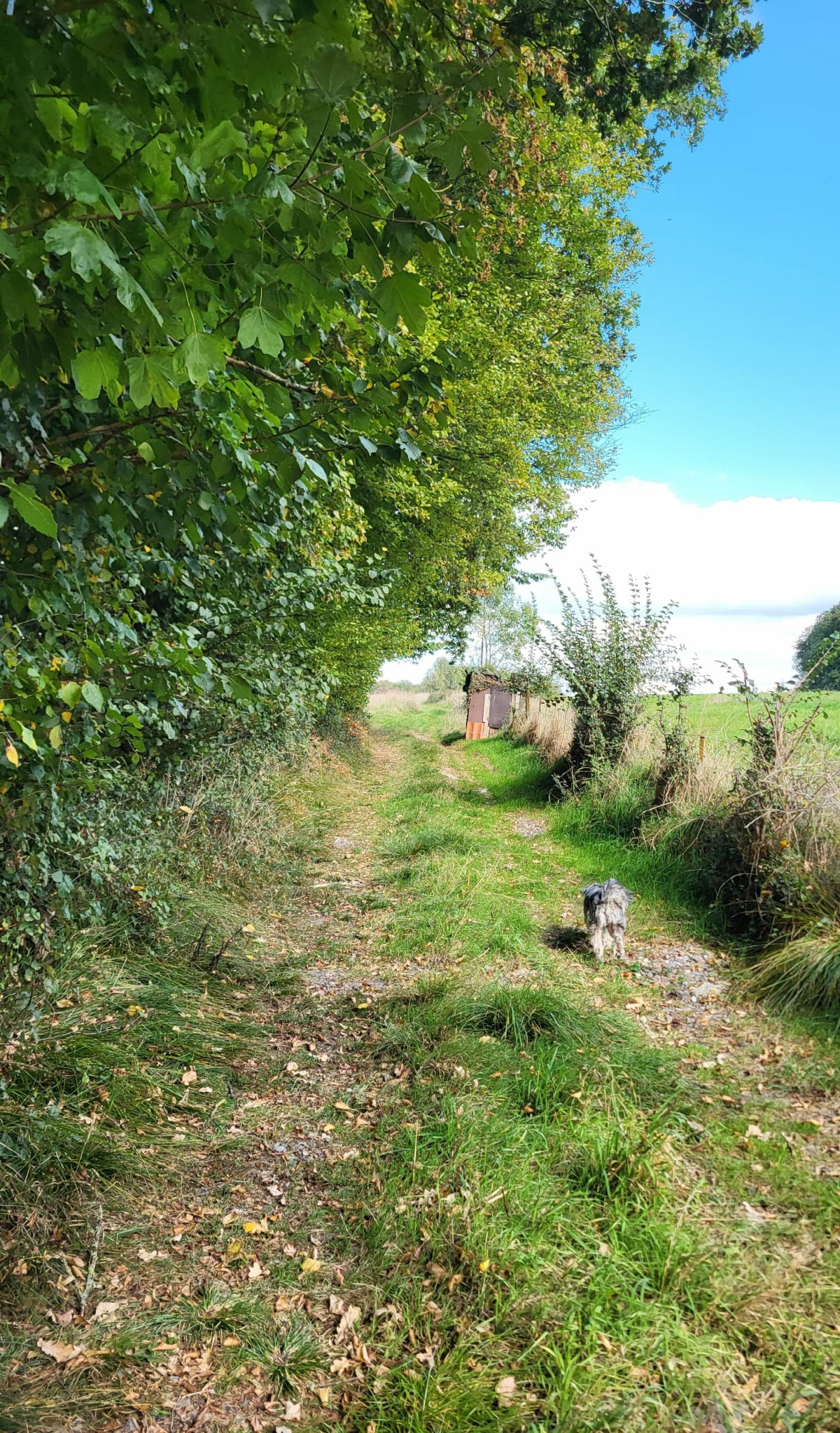 Promenade digestive à Wittes - Frédéric