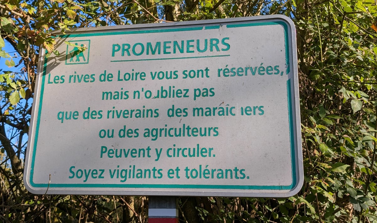 Tour de Loire depuis Thouaré entre Bellevue et Mauves - Thouaré-sur-Loire