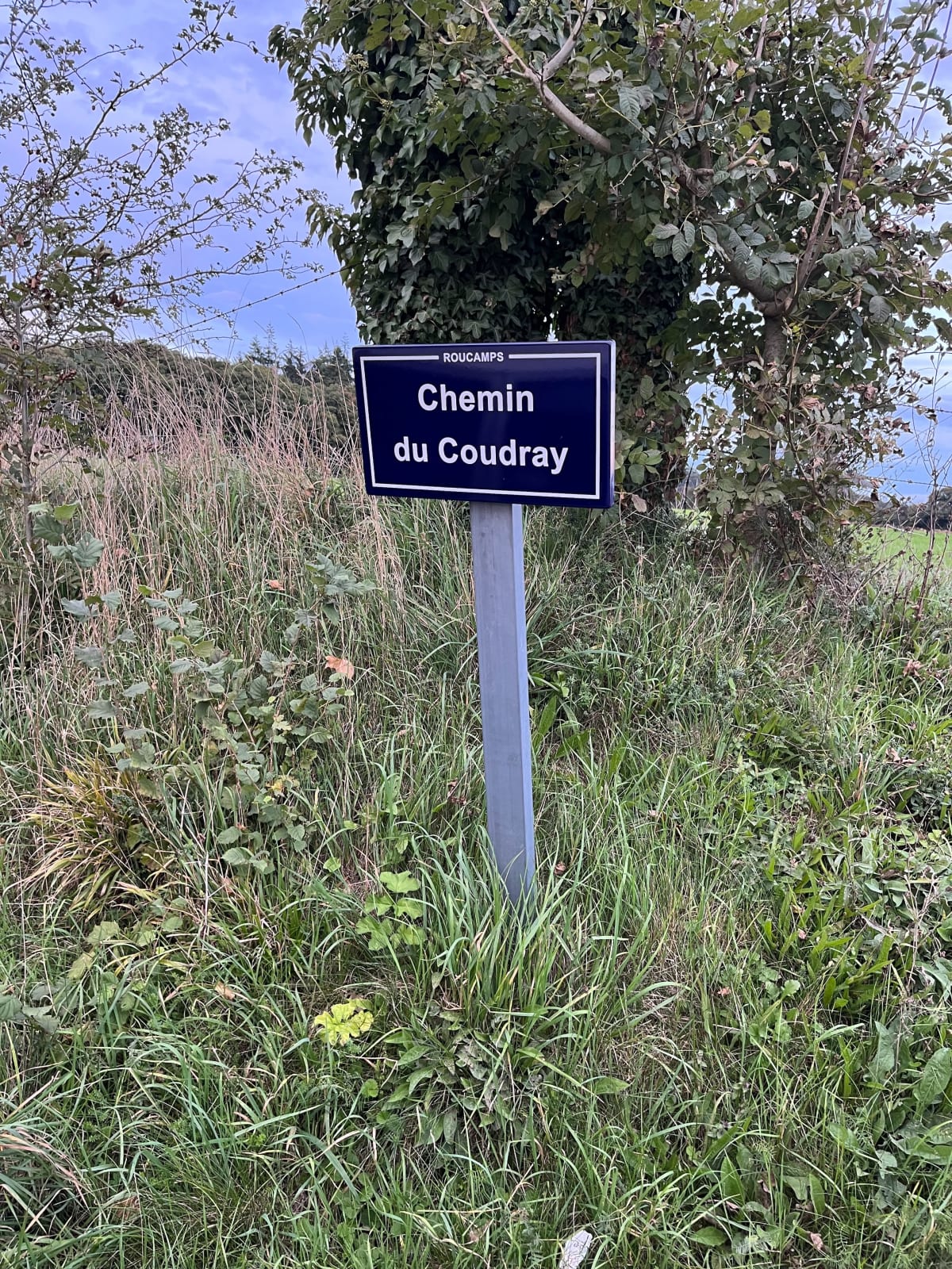 Chemin du Coudray et Monts d'Aunay - LUDIVINE