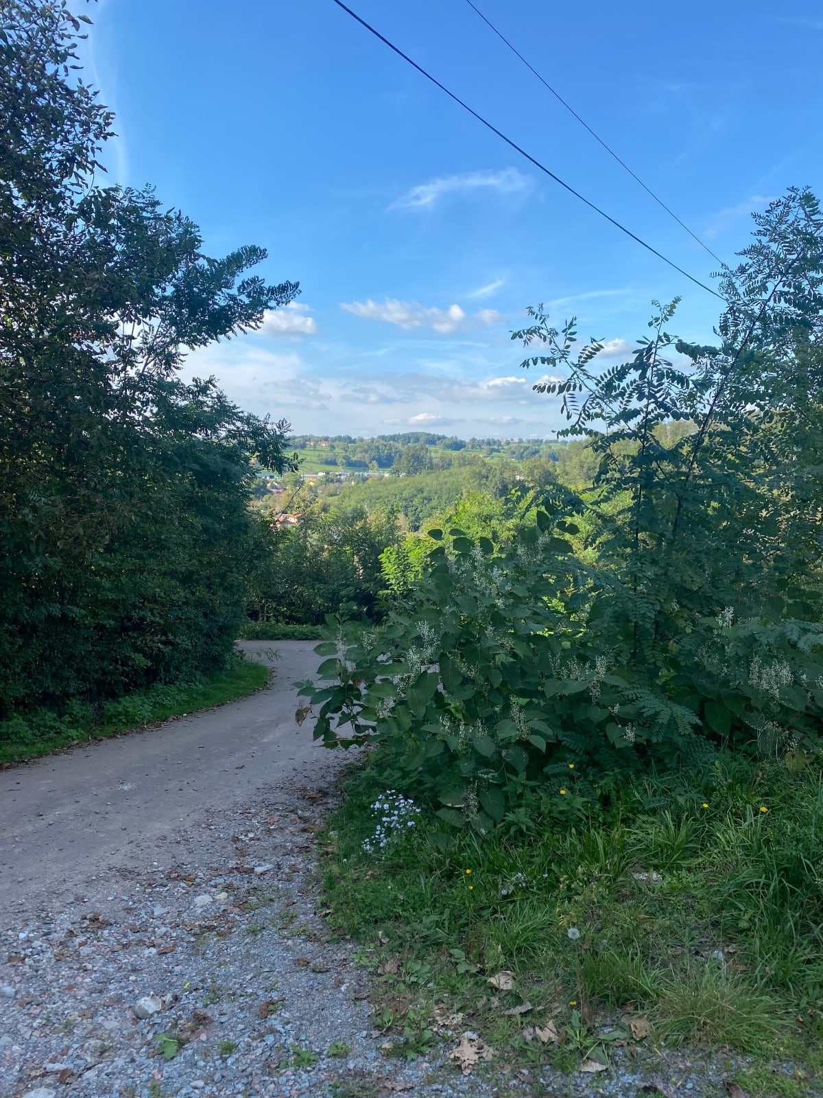Autour de Saint-Denis-de-Cabanne - Clothilde