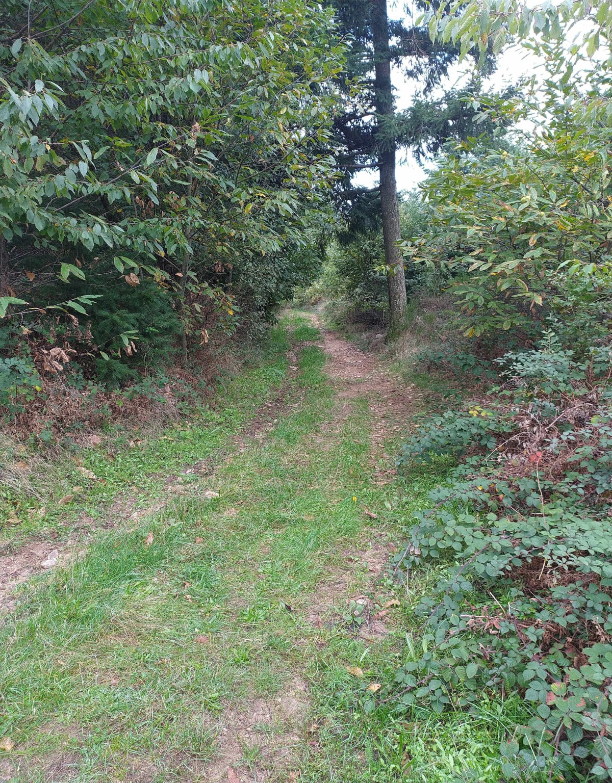 Boucle VTT la croix de lionnet - bruno