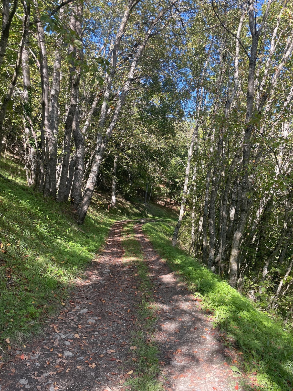 Sentier de la Pomme et la Bergerie - Decathlon