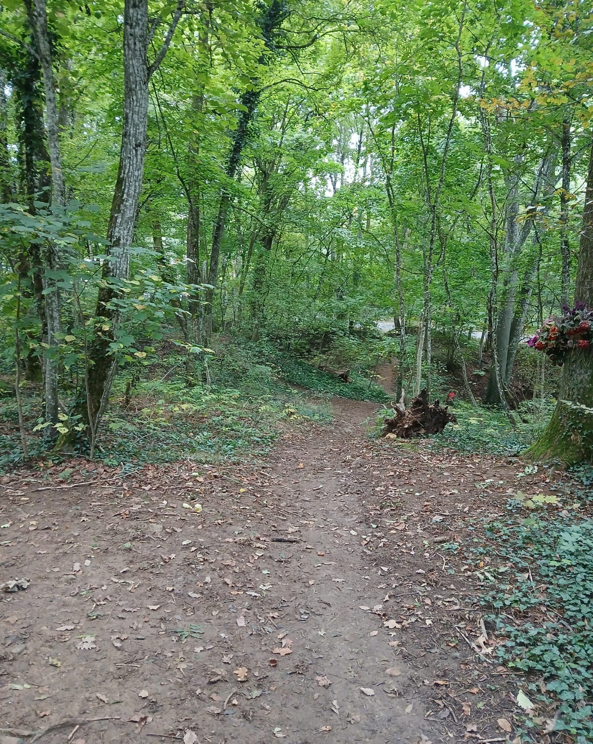 Balade au profil varié plateau Malzéville - Benoît 