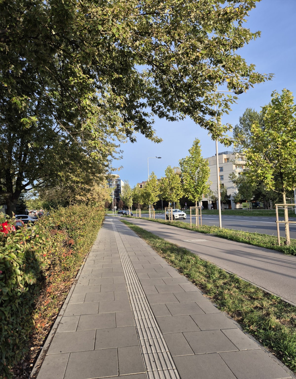 Spacer po Kabatach i park przy bażantarni - Agata