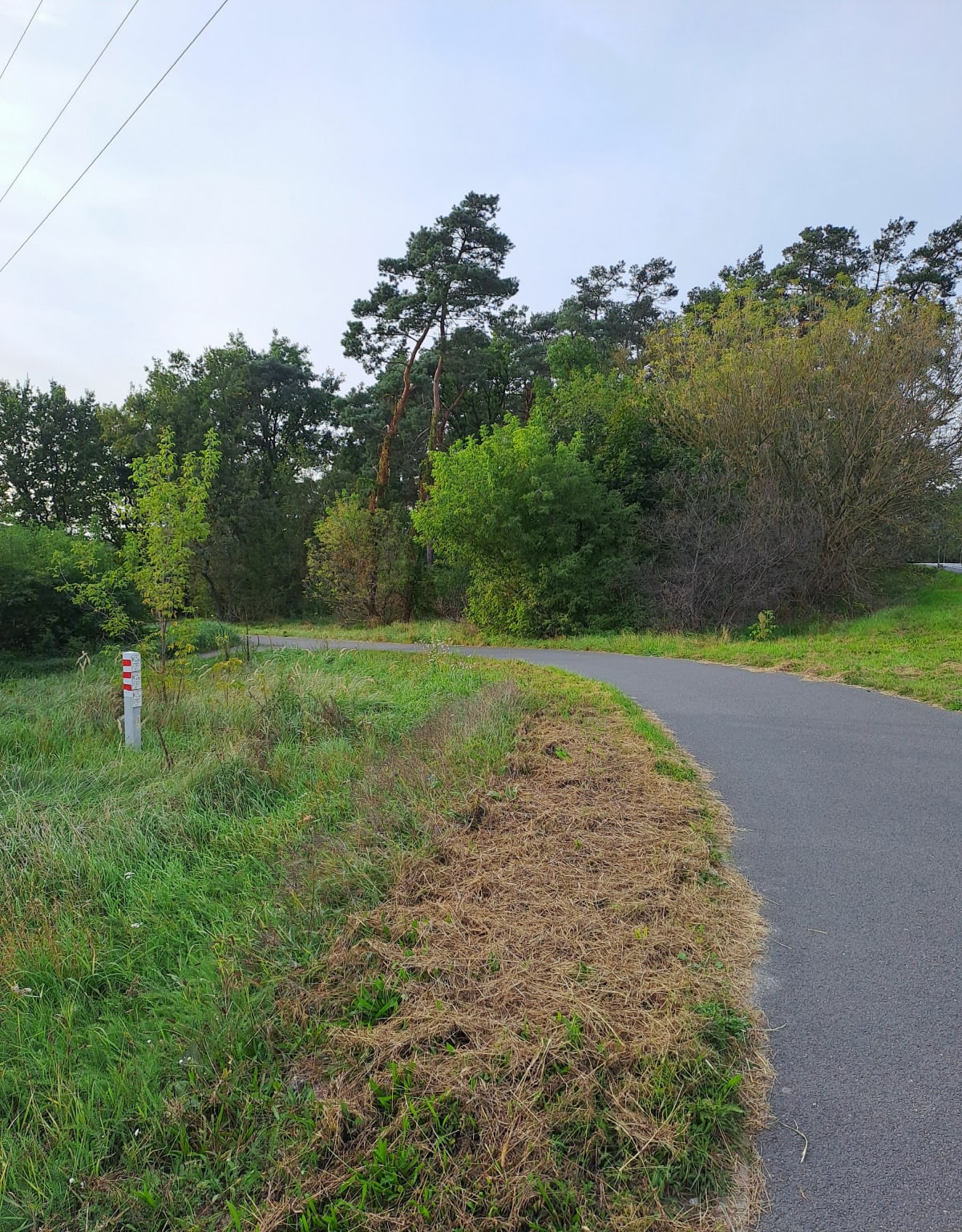 Trasa Toruń-Przysiek-Toruń - Marta