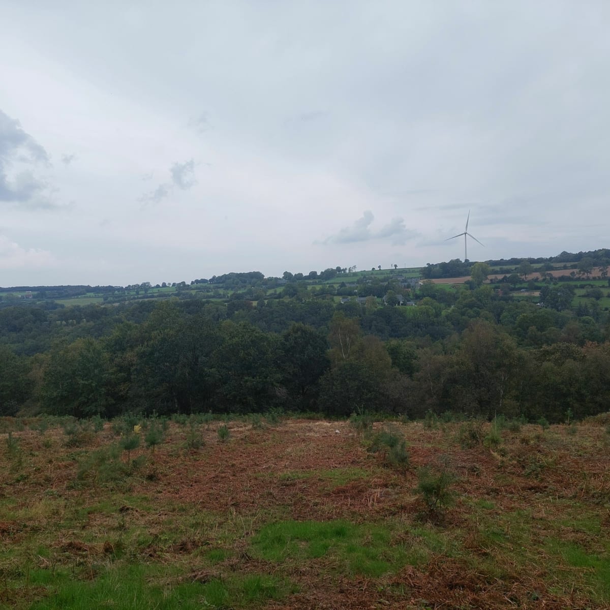 Promenade pour marcheur au niveau des éoliennes - champs