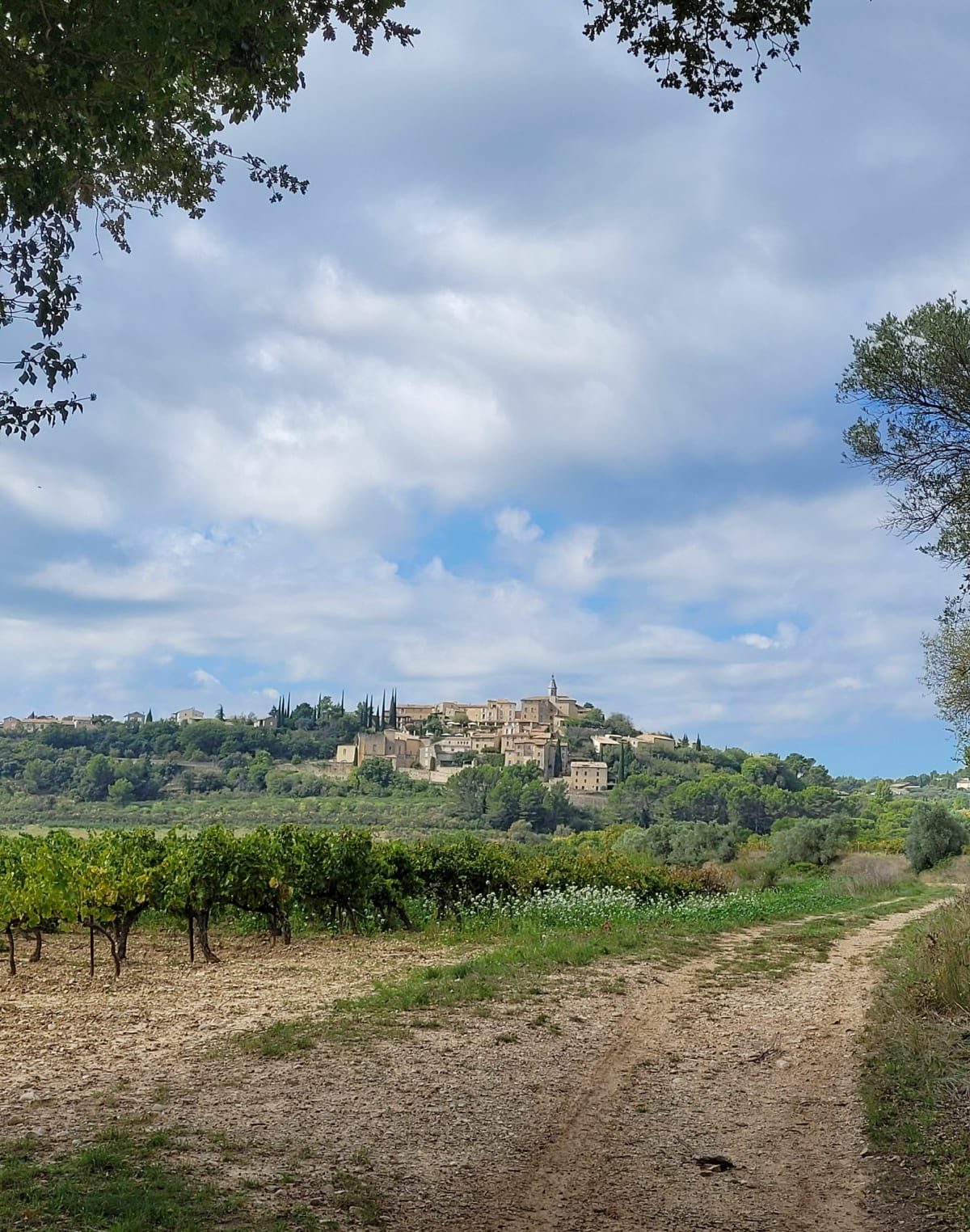 Rando à Crillon-le-Brave en longeant les carrières d'ocre - THOMAS