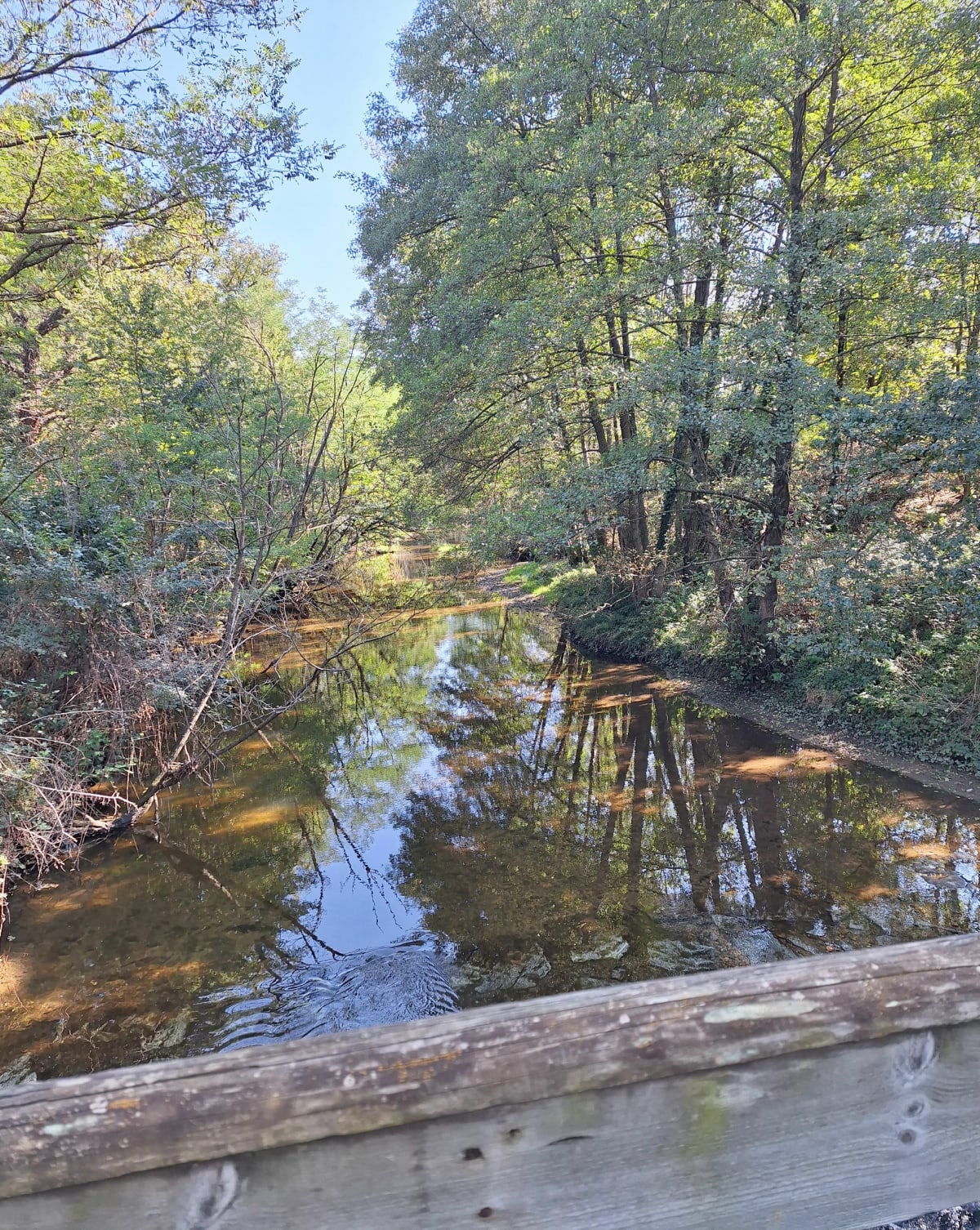 Saint-Galmier aux bords de Loire - Caroline