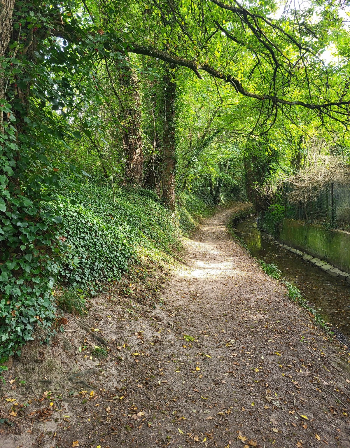 Balade entre Mont-Saint-Eloi et Souchez - Lolo