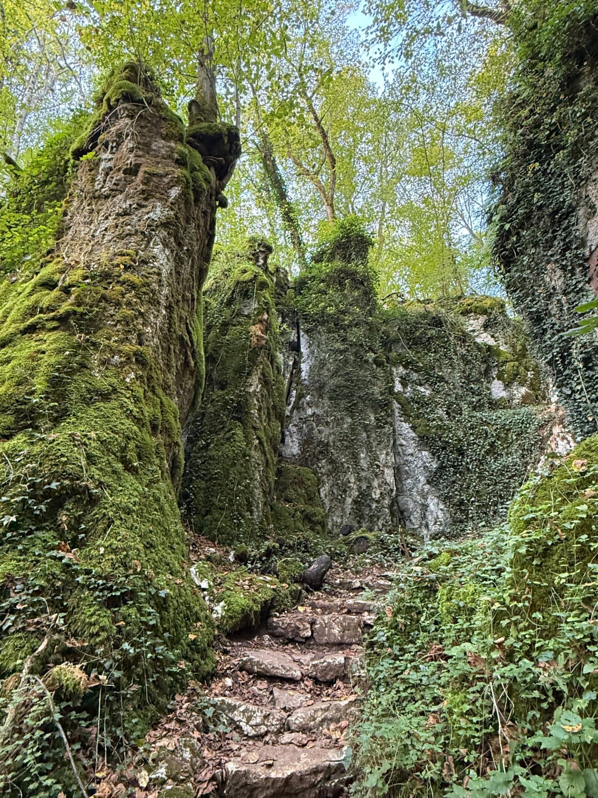 Sentier des crêtes entre Gevrey-Chambertin et Fixin - Lionel