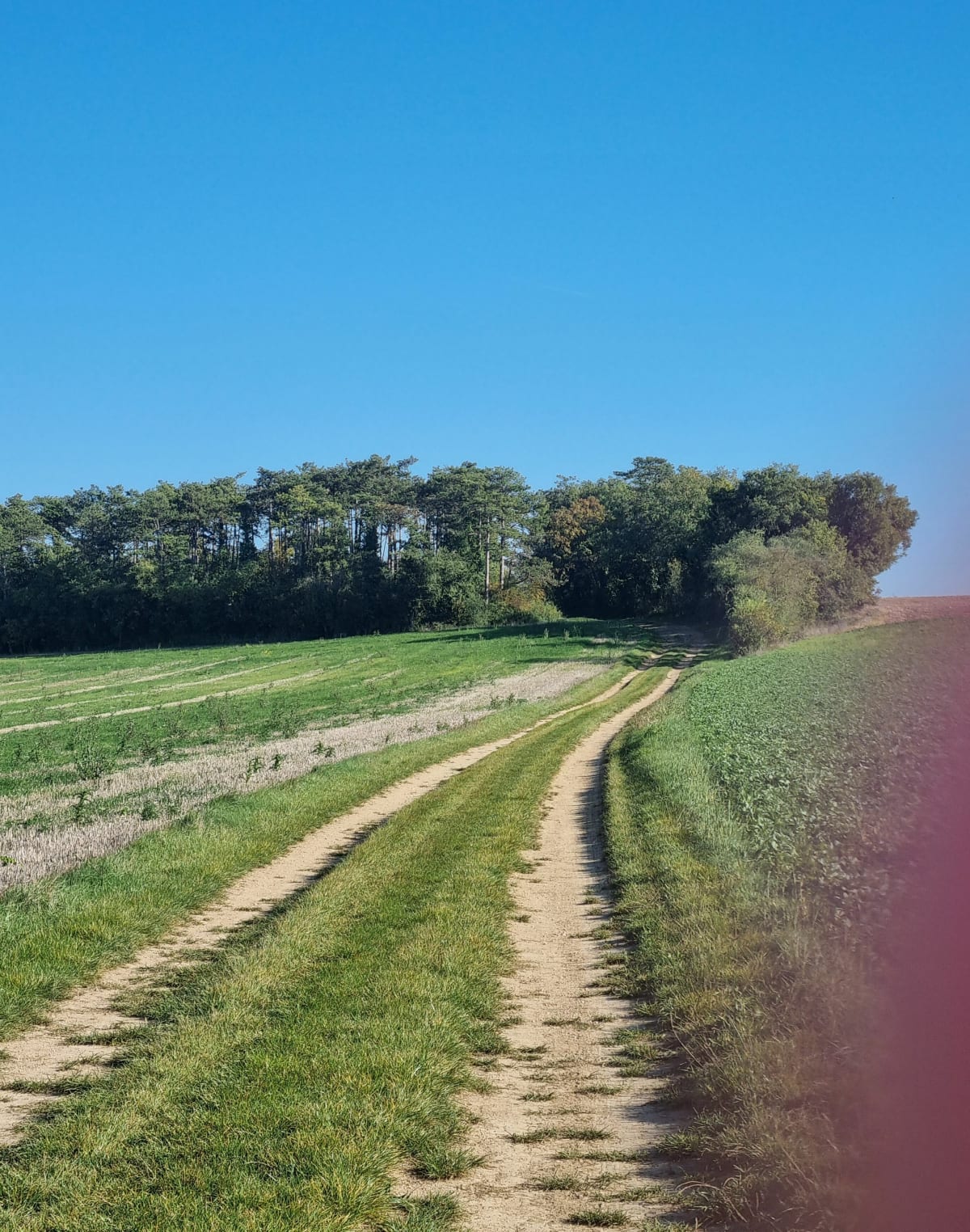 Vallée de Cognepuits - Stephanie