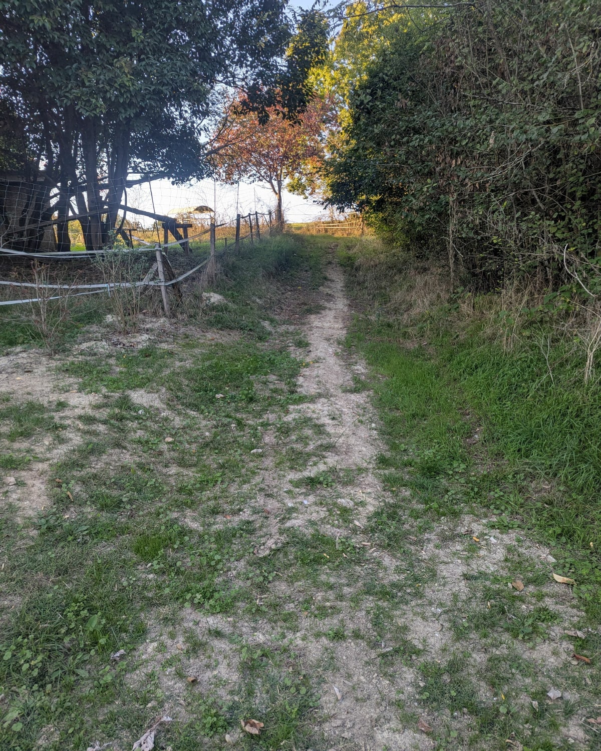 Trail d'octobre rose 2025 à Saint-Sardos - Mathieu