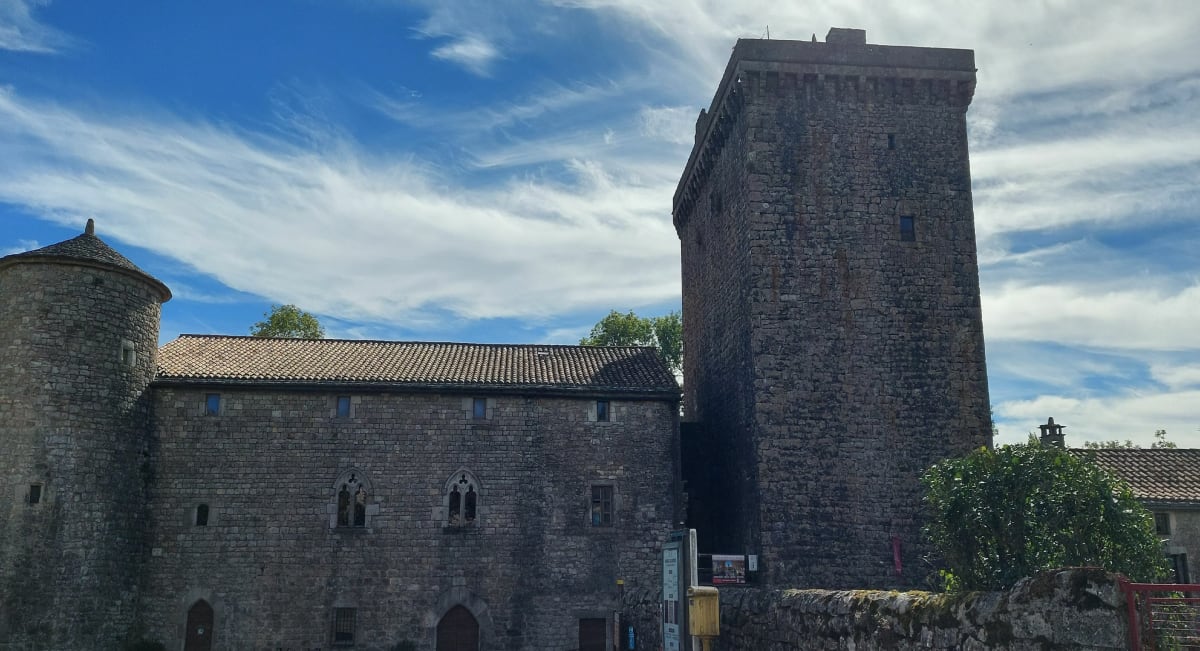 Autour du Viala-du-Pas-de-Jaux - Michel