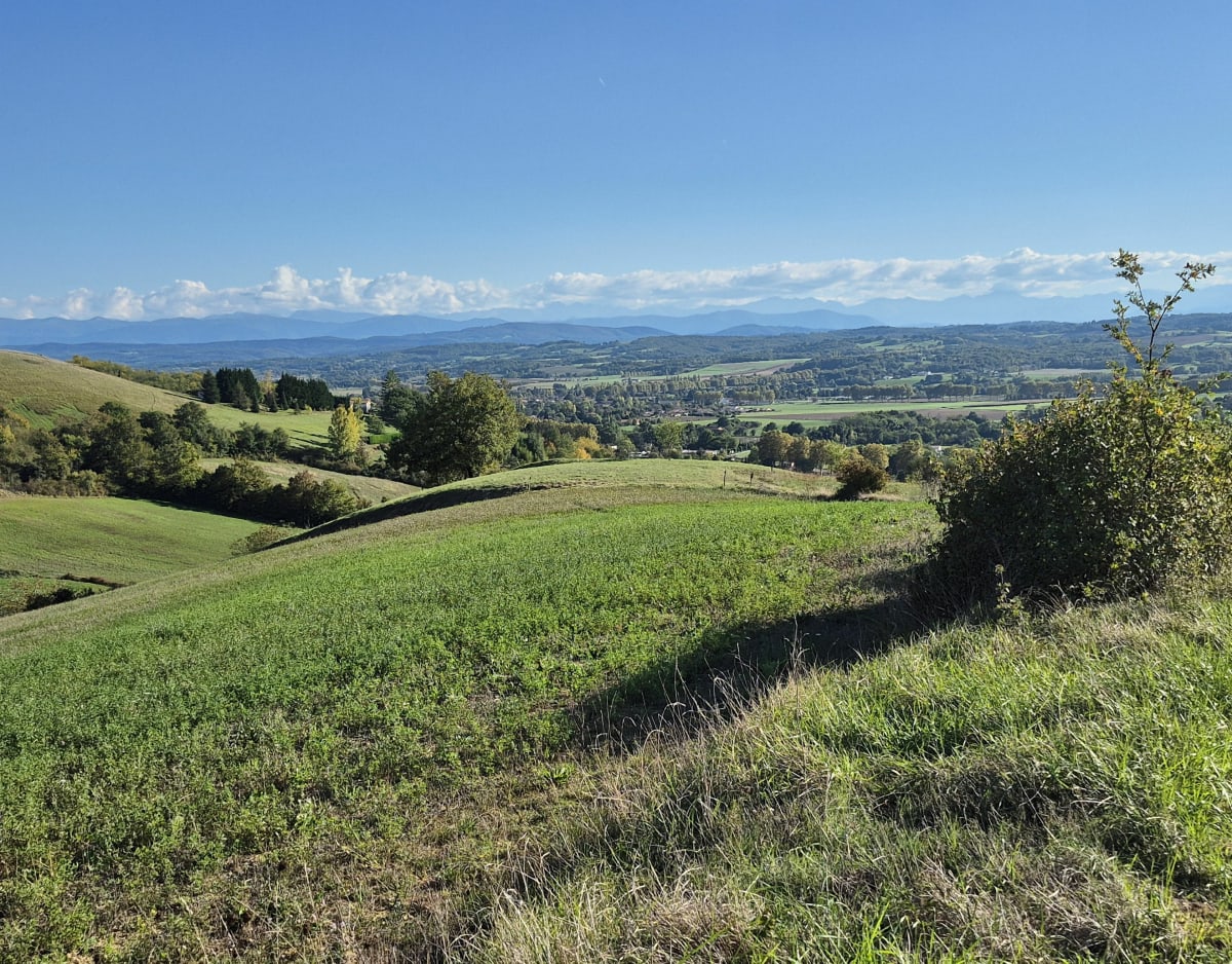 De la hauteur et de l'eau à Montesquieu-Volvestre - Séverine