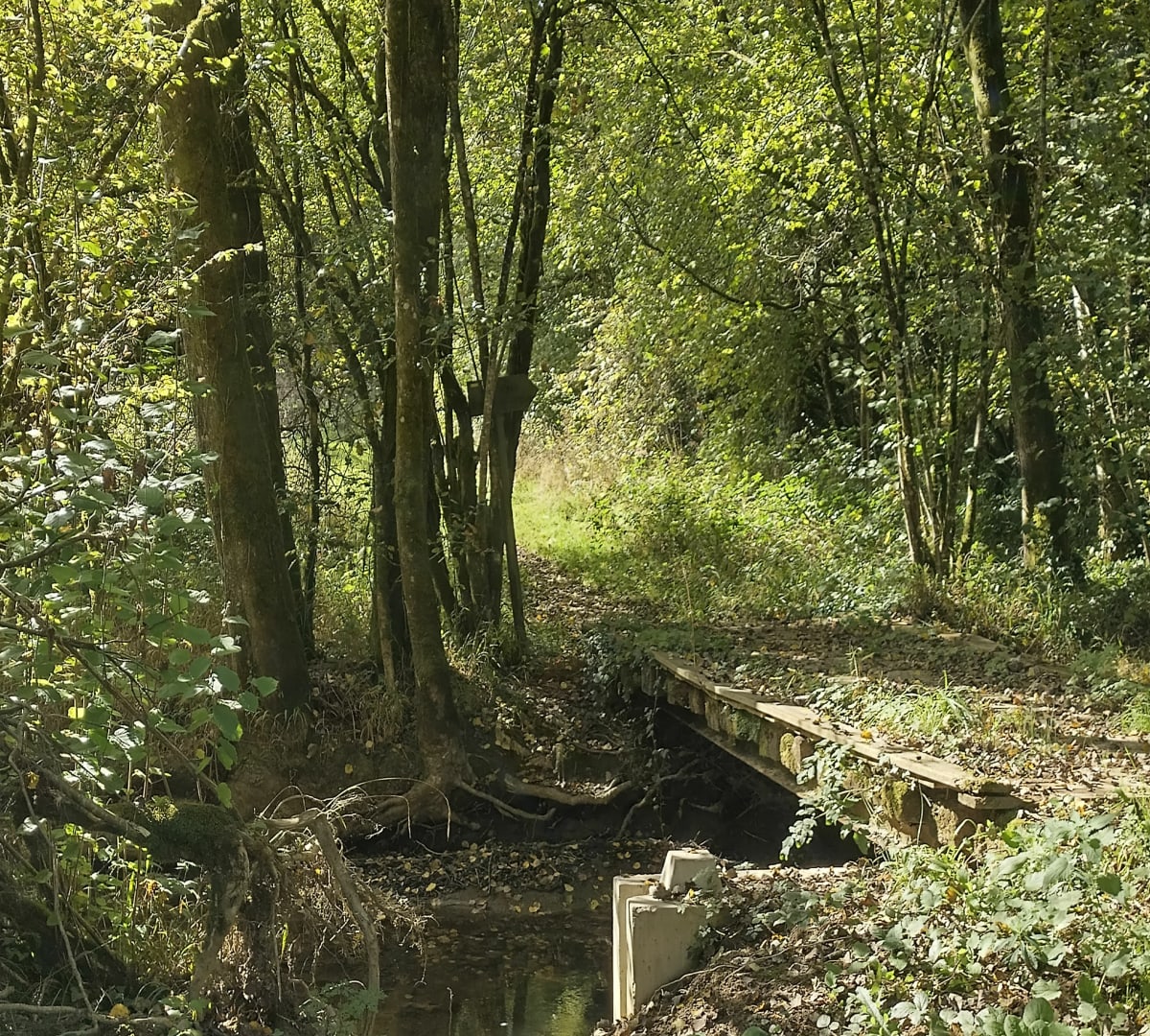 Flânerie dans la Verte Vallée et Callac - Valper