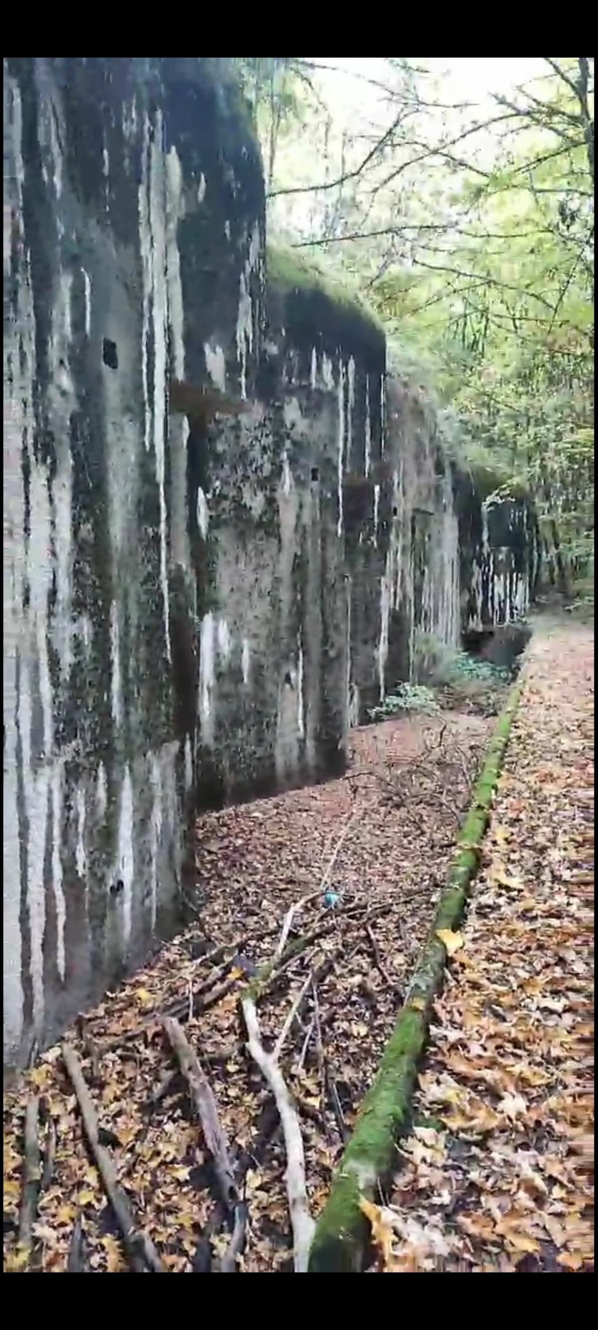 Latirmont et ses casemates-Cutry - Laurent