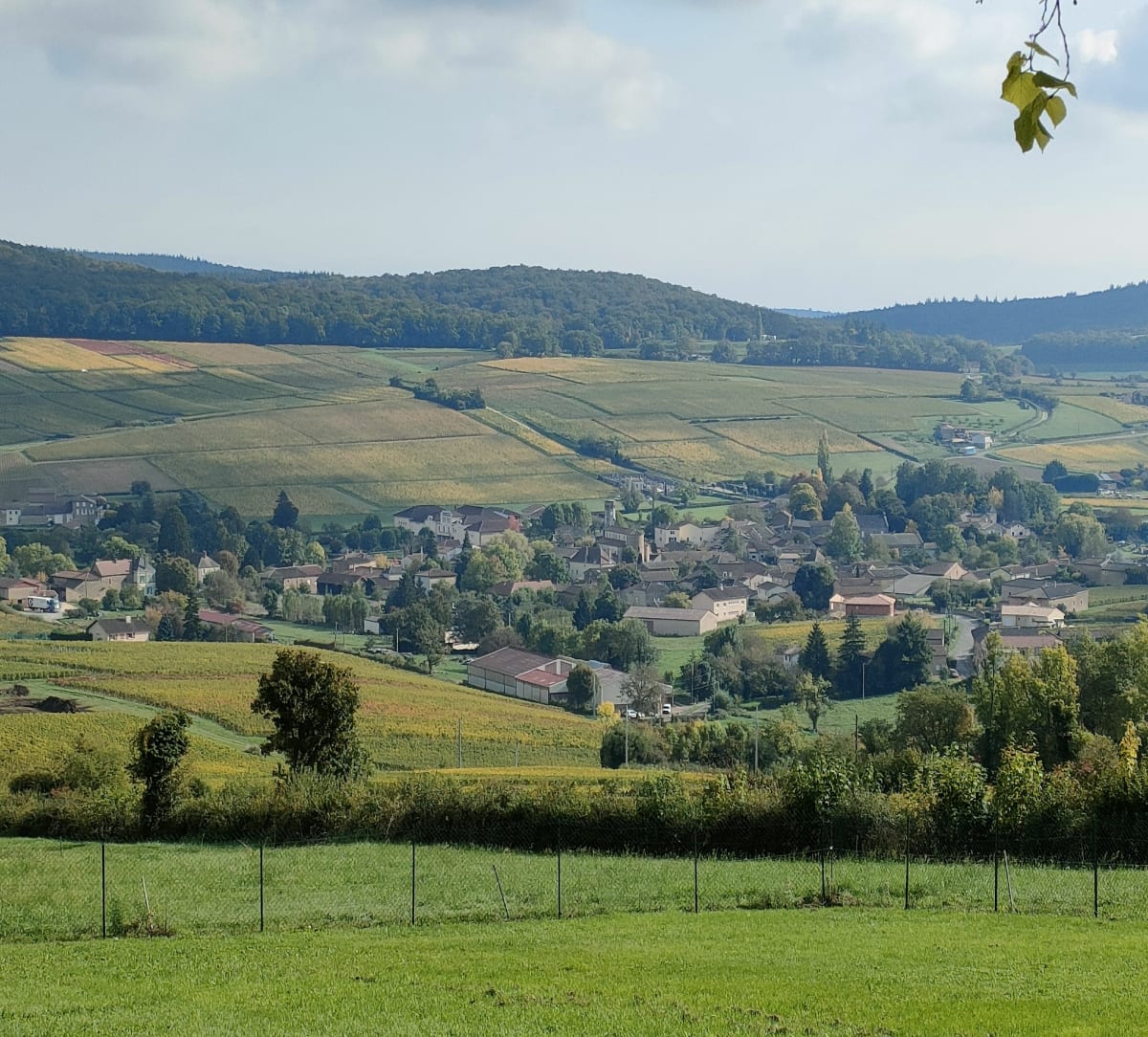 Rando Verzé et Berzé-le-Châtel - Olivier 