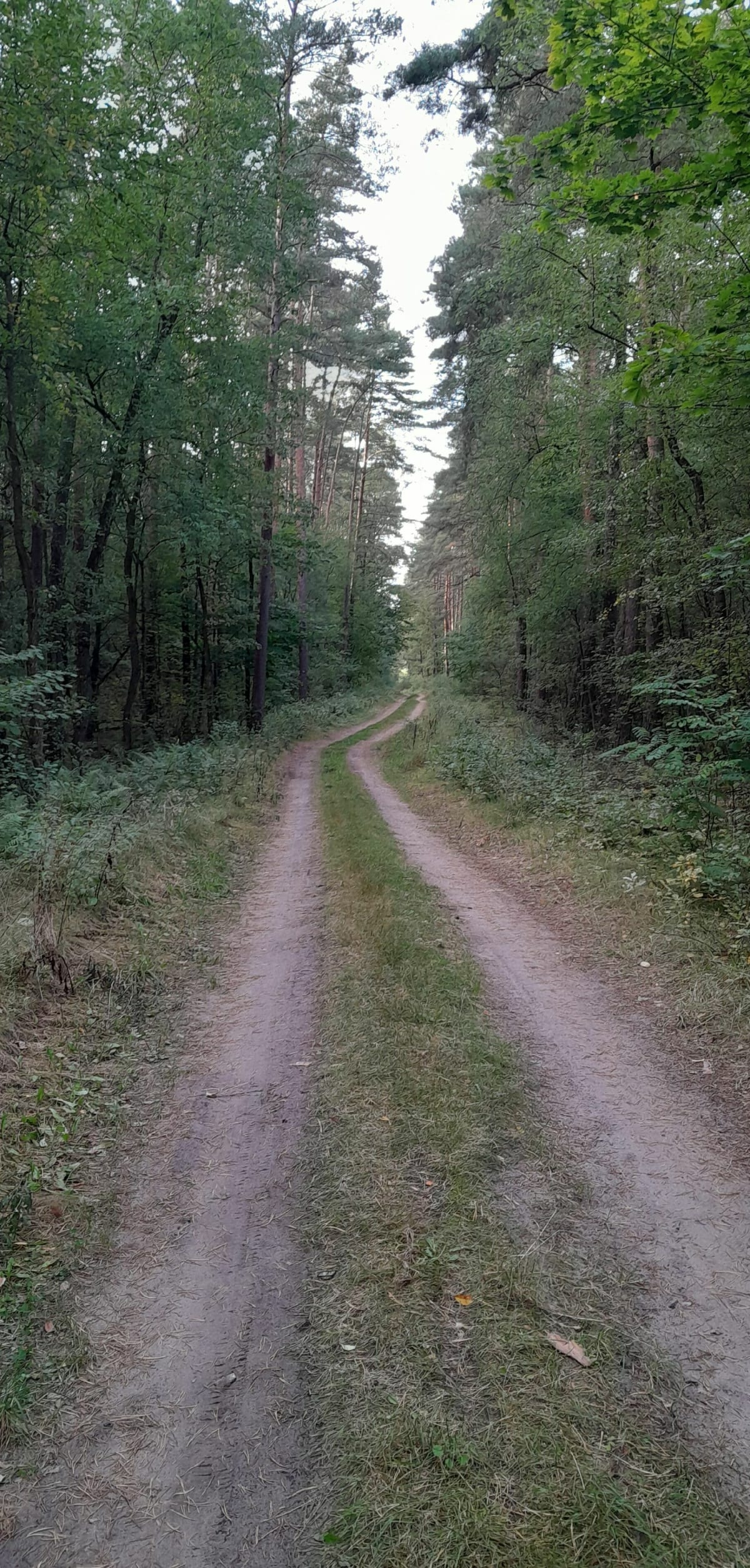 Szubin-Grzeczna Panna - Rafał