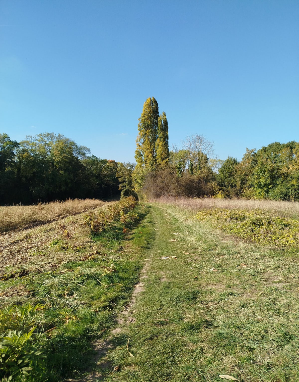 Marche Gouvernes - château de Guermantes - Julien