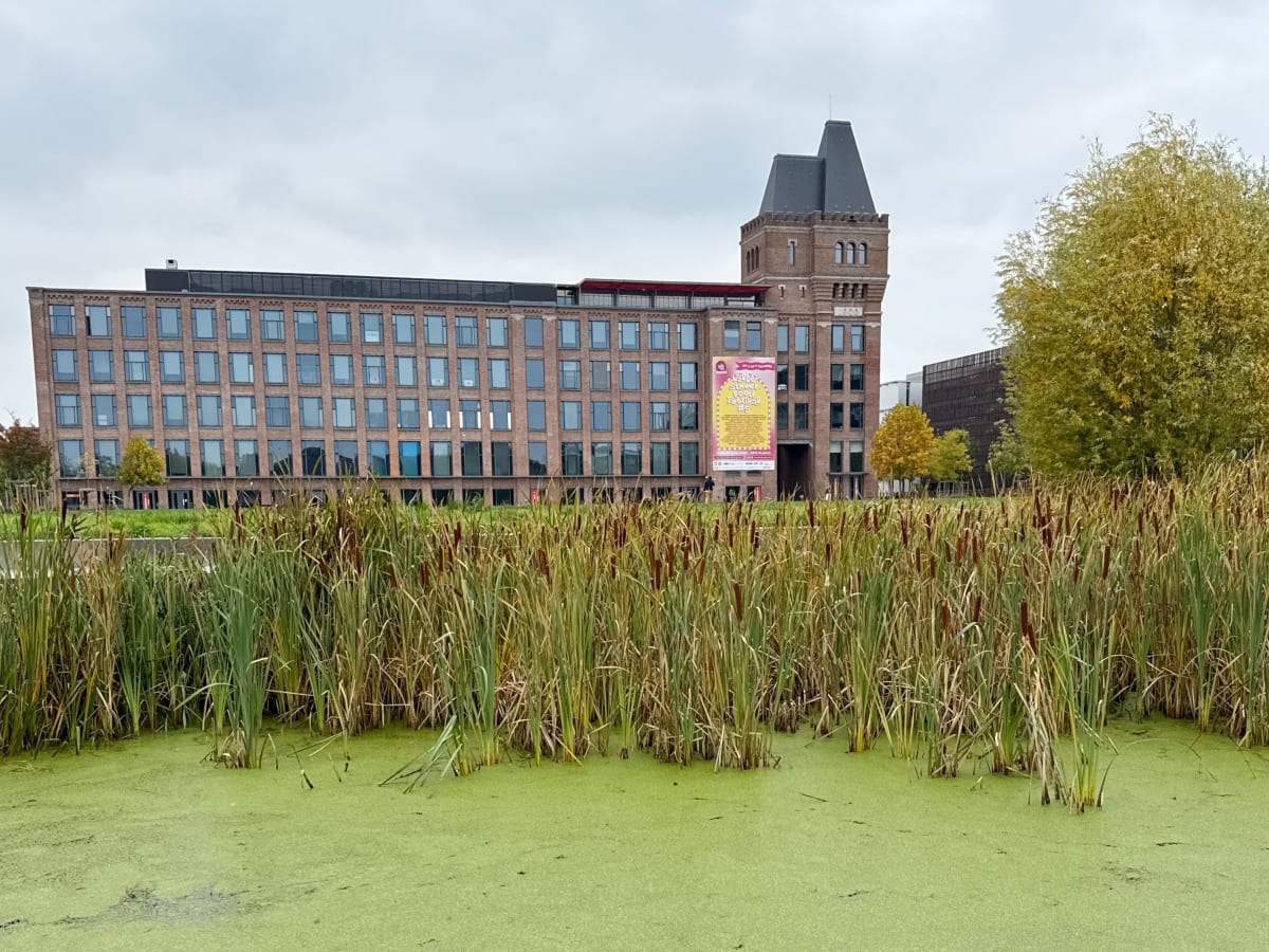 Le long du canal vers le nord depuis Bois-Blancs - Julien