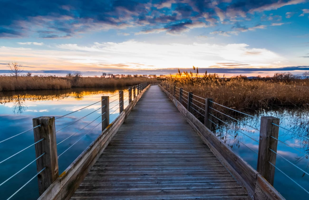 Coucher de soleil sur une passerelle du lac de Méjean, près de Montpellier