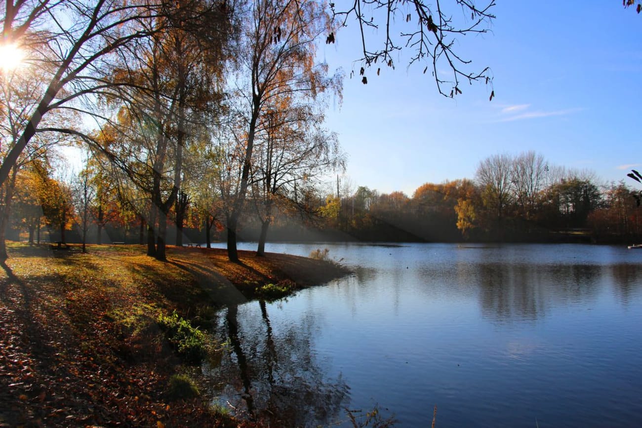 Balade lac du Héron à Lille : vue sur le lac et ses berges au soleil couchant