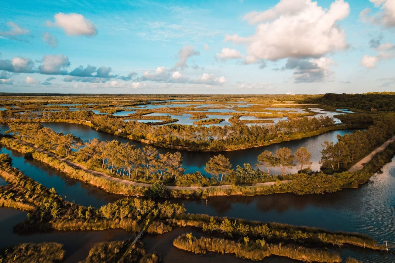 La réserve naturelle du Teich et ses marais propices aux oiseaux