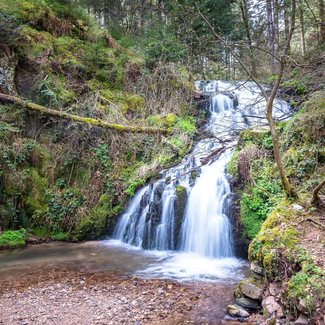 La cascade de Faymont dans les Vosges