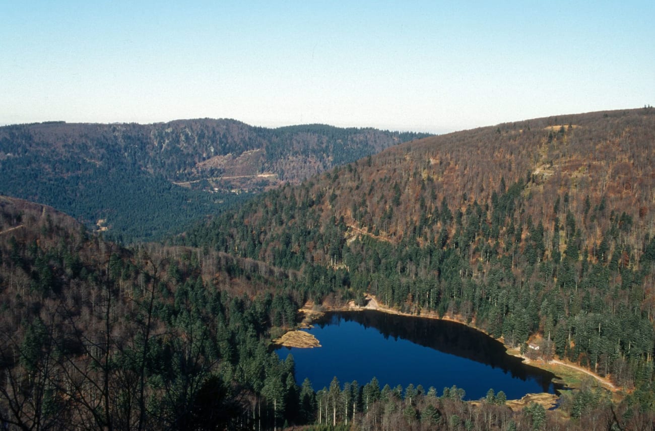 Randonnée lac de Blanchemer : vue aérienne du lac avec la végétation qui l'entoure