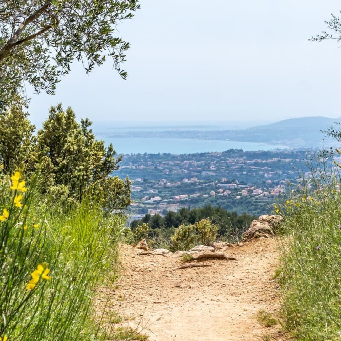 Randonnée à Nice : vue sur Nice depuis le mont Chauve
