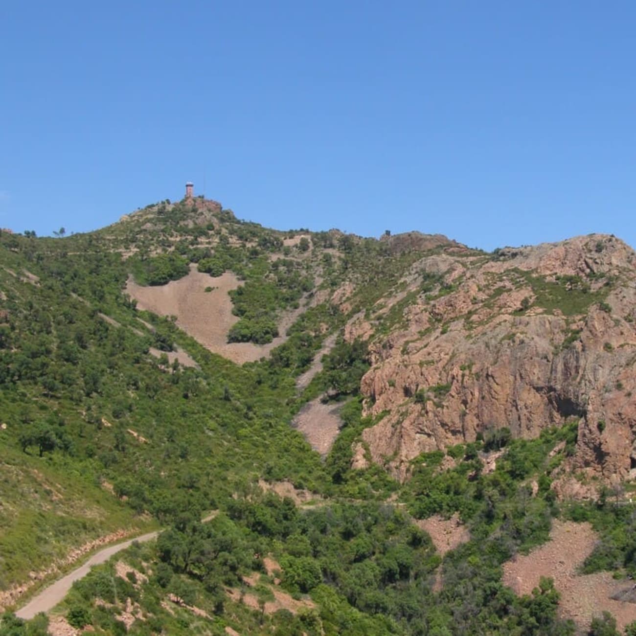 Randonnée mont Vinaigre : vue sur le sentier et le sommet du mont Vinaigre