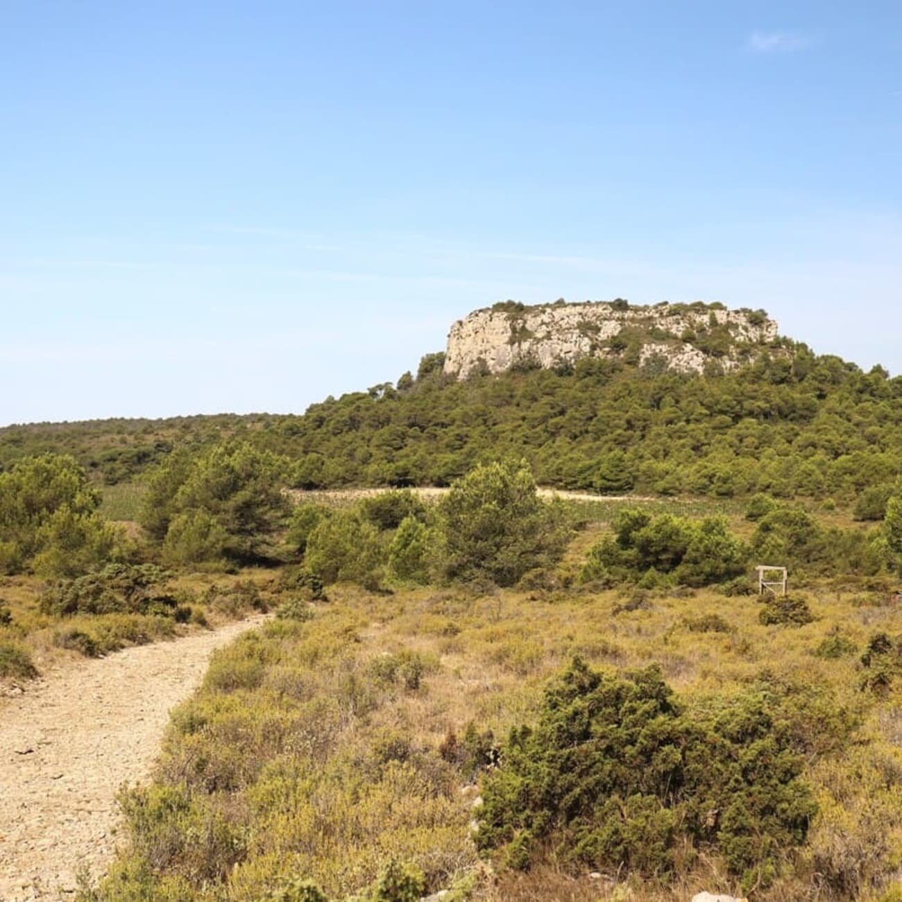 Randonnée dans le massif de la Clape : sentier menant vers le massif, dans la garrigue