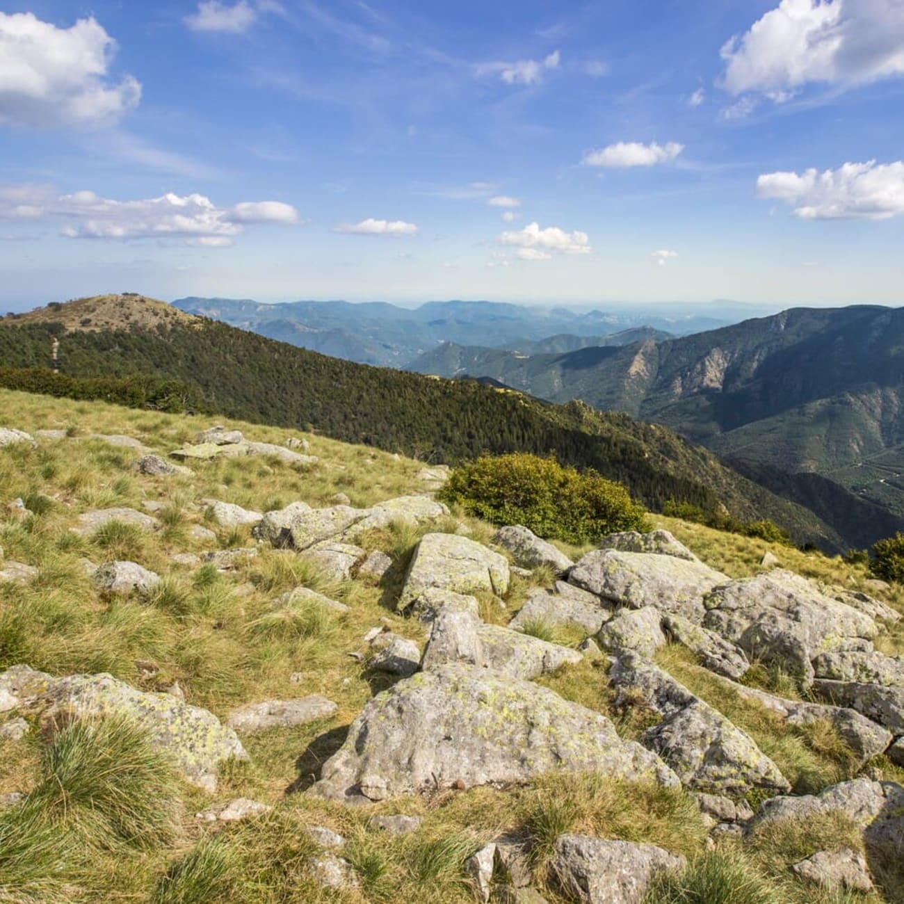 Randonnée au mont Aigoual : vue depuis le sentier des 4000 marches