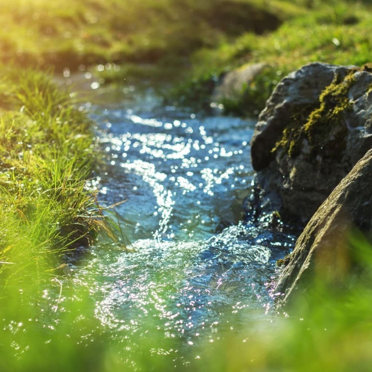 Randonnée lac du Montagnon : eau ruisselant entourée d'herbe