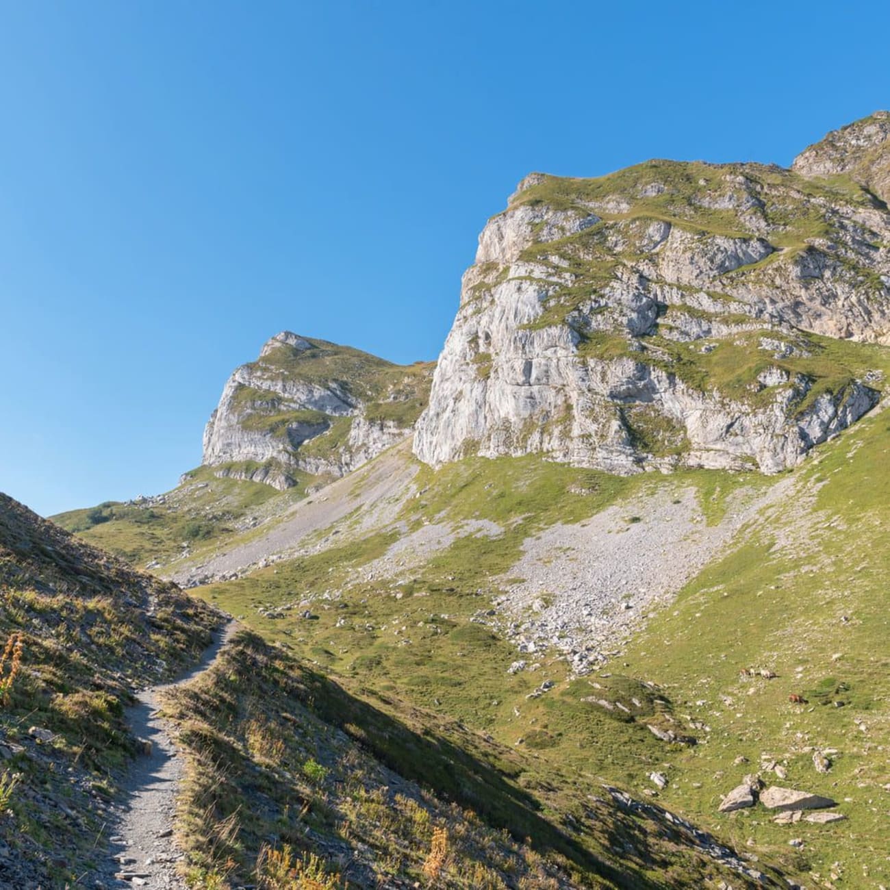 Randonnée lac du Montagnon : sentier serpentant sur un col