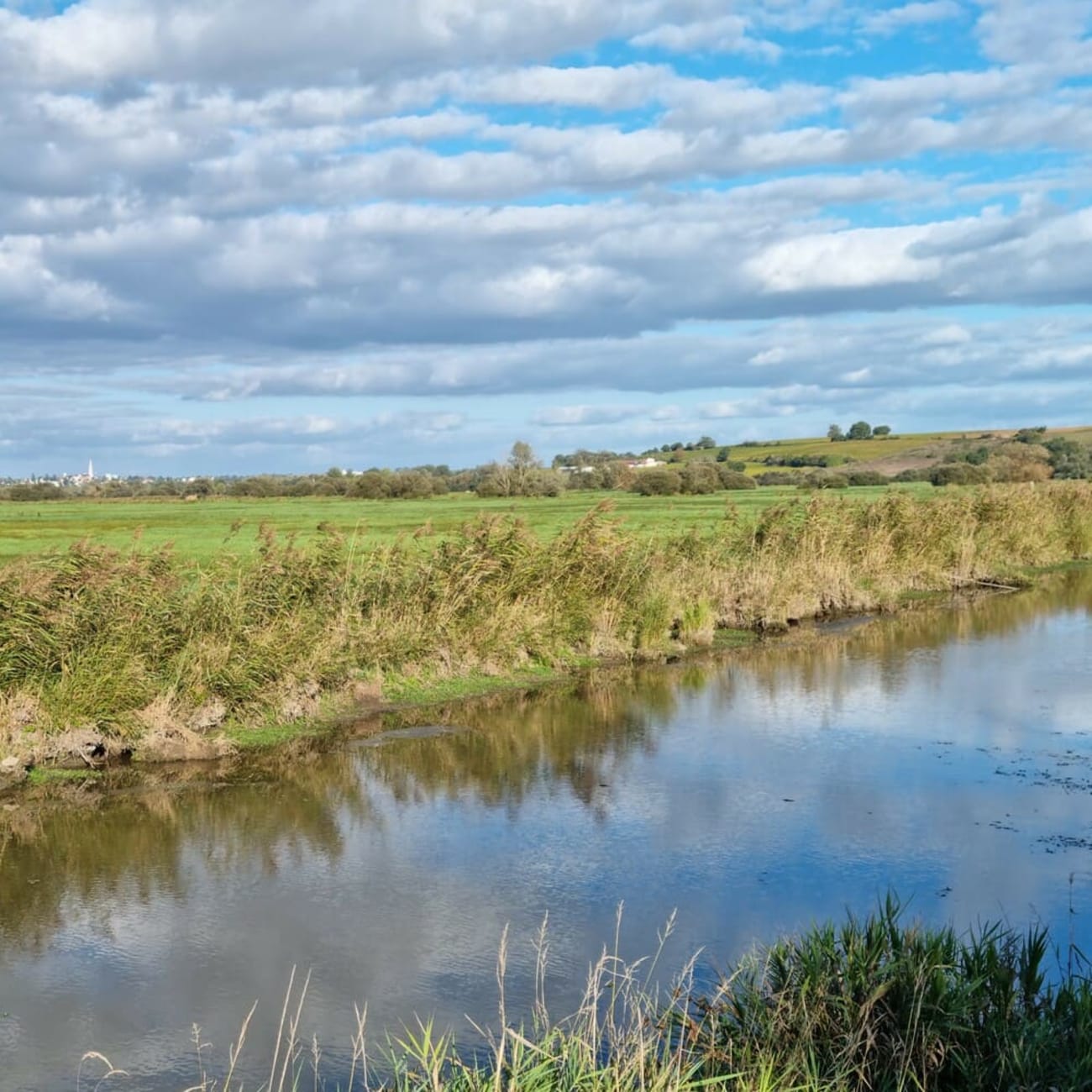 Balade au pont de l'Ouen, le long des marais de Goulaine