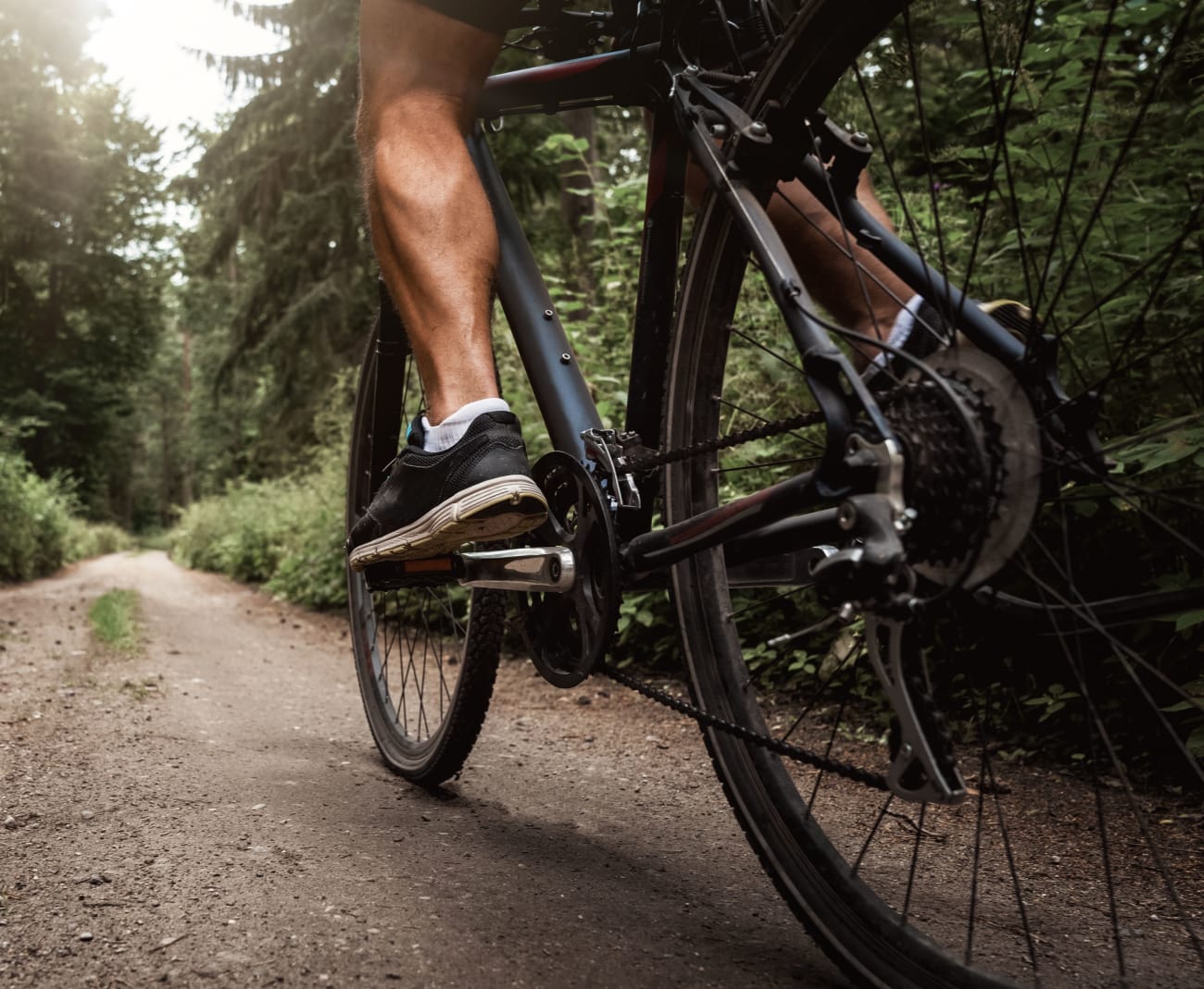 Cycliste dans la forêt de Touffou.