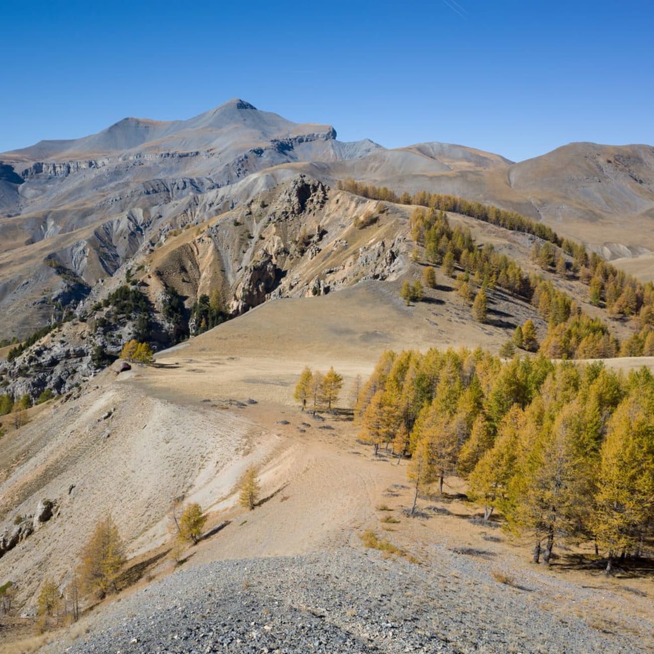 Randonnée Mercantour : crêtes montagnes et arbres